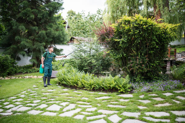 Best Pest Prevention Services  in Kewanee, IL