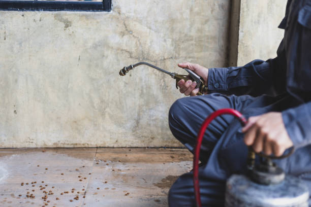Flea Control Services in Kewanee, IL